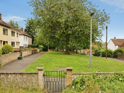 Picture 11